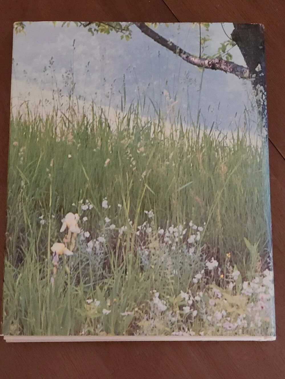 Harper & Row, Publishers beautiful vintage